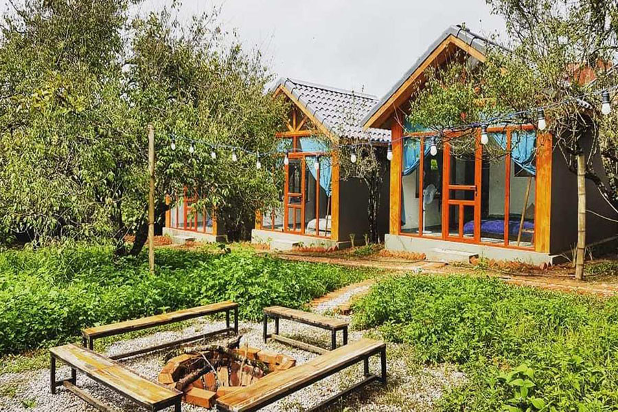 thiết kế homestay