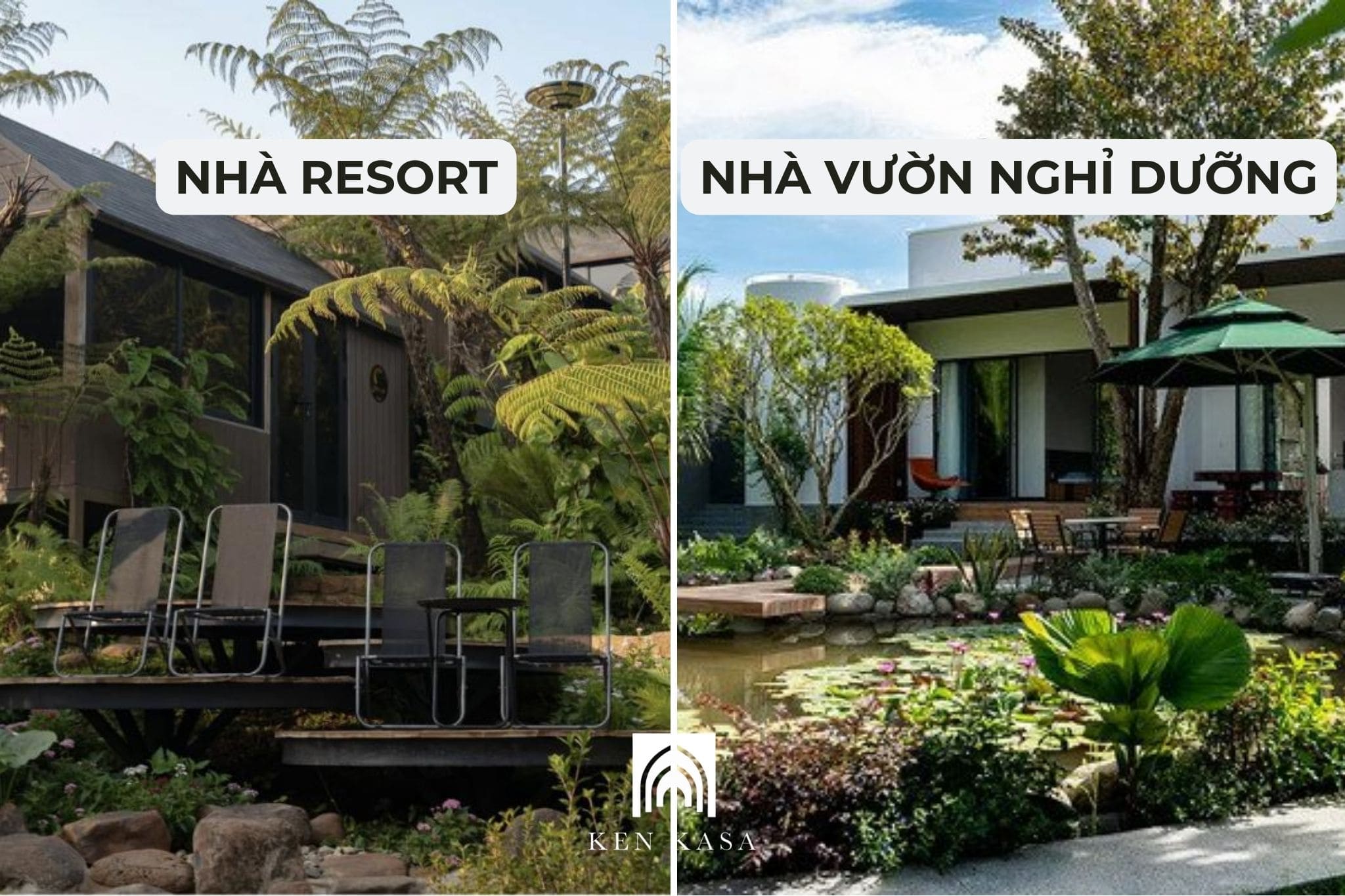 Khác nhau về thiết kế tổng thể